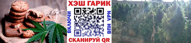 Canna-Cookies конопля  blacksprut зеркало  Подпорожье 