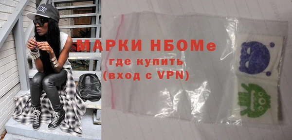 хмурый Алексин