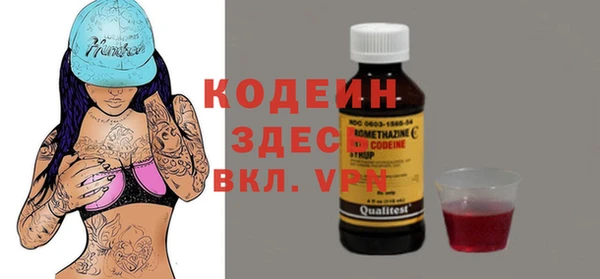 хмурый Алексин