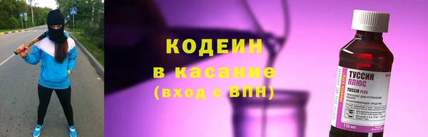 хмурый Алексин