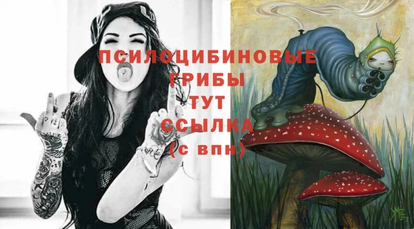хмурый Алексин