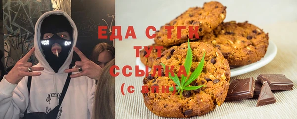 хмурый Алексин