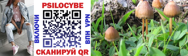 blacksprut tor  Подпорожье  Галлюциногенные грибы MAGIC MUSHROOMS 